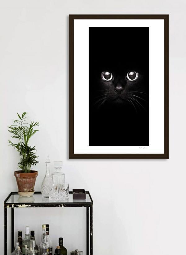 The Black Cat Frame