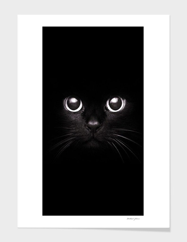 The Black Cat Frame